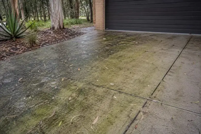 Concrete driveway with algae and mould growth before driveway cleaning in Perth Western Australia